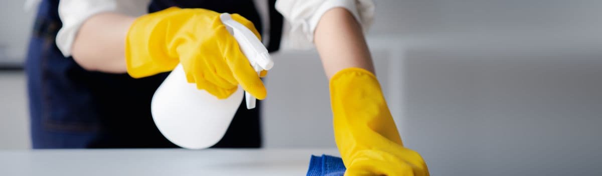 Professional house cleaning service